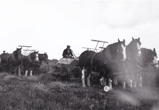 Lochton Estate 1925-30 - display this album Lochton Estate 1925-30