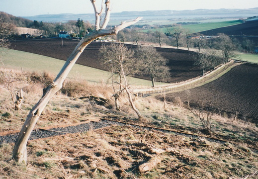 Millennium Walk Construction 2000 - display this album Millennium Walk Construction 2000